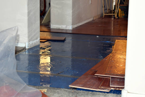 Professional Water Extraction technician working in Hampton, IL